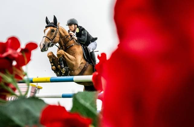 Bilder des Jahres 2024, Sport 07 Juli Sport Themen der Woche KW28 Sport Bilder des Tages 240711 Peder Fredricson of Sweden with horse Sv Vroom de La Pomme Z competes in Falsterbo Grand Prix qualification during Falsterbo Horse Show on July 11, 2024 in Falsterbo. Photo: Petter Arvidson BILDBYRAN kod PA PA0831 ridsport equestrian falsterbo horse show 5 bbeng falsterbo *** 240711 Peder Fredricson of Sweden with horse Sv Vroom de La Pomme Z competes in Falsterbo Grand Prix qualification during Falsterbo Horse Show on July 11, 2024 in Falsterbo Photo Petter Arvidson BILDBYRAN kod PA PA0831 ridsport equestrian falsterbo horse show 5 bbeng falsterbo  Copyright: PETTERxARVIDSON BB240711PA006