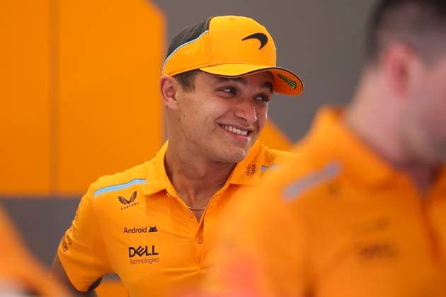 NORRIS Lando (gbr), McLaren F1 Team MCL38, portrait during the Formula 1 Hungarian Grand Prix 2024, 13th round of the 2024 Formula One World Championship, WM, Weltmeisterschaft from July 19 to 21, 2024 on the Hungaroring, in Mogyorod, Hungary - F1 - HUNGARIAN GRAND PRIX 2024 DPPI Panoramic  240718_R11_UNGHERIA_DP_EA012475