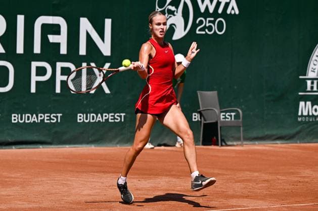 Anna Karolina Schmiedlova (SVK) during the quarter finals match vs. Elina Avanesyan at the WTA250 Hungarian Gran Prix Tennis on 19th July 2024 at Romai Teniszakademia, Budapest, Hungary  Copyright: xVincenzoxOrlando IPAxSportx xipax xx IPA_48113469 IPA_Agency_IPA48113469