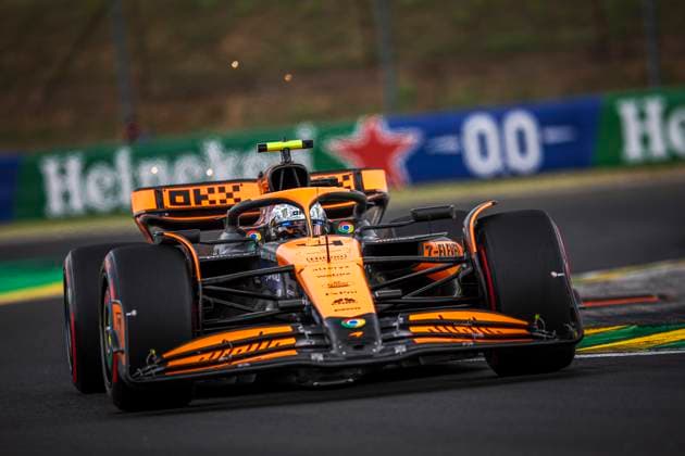 04 NORRIS Lando (gbr), McLaren F1 Team MCL38, action during the Formula 1 Hungarian Grand Prix 2024, 13th round of the 2024 Formula One World Championship, WM, Weltmeisterschaft from July 19 to 21, 2024 on the Hungaroring, in Mogyorod, Hungary - F1 - HUNGARIAN GRAND PRIX 2024 DPPI Panoramic  240720_R13_UNGHERIA_DP_EA016439