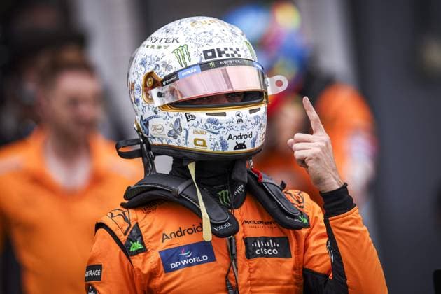 NORRIS Lando (gbr), McLaren F1 Team MCL38, portrait during the Formula 1 Hungarian Grand Prix 2024, 13th round of the 2024 Formula One World Championship, WM, Weltmeisterschaft from July 19 to 21, 2024 on the Hungaroring, in Mogyorod, Hungary - F1 - HUNGARIAN GRAND PRIX 2024 DPPI Panoramic  240720_R13_UNGHERIA_DP_EA018845