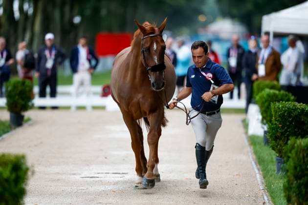 PARIS Olympic Summer Games Olympic Summer Games 2024, PARIS Olympic Summer Games Olympic Summer Games 2024 COVARRUBIAS Agustin CHI , Nelson Du Petit Vivier Vet Check Springpferde Horse Inspection Showjumping Horses Paris, Château de Versailles, Château de Versailles July 31, 2024
