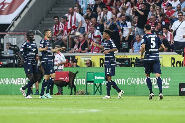 Sport, Soccer, 2 Bundesliga Season 2024 2025 1 Matchday 1 FC Köln Hamburger SV 02 08 2024, RheinEnergieSTADION Goal celebration Hamburger SV after the goal to 0 1 by Ransford Konigsdorfer Hamburger SV, 11 the players are happy Köln RheinEnergieSTADION Nordrhein Westfahlen Germany