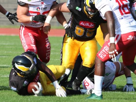 American Football GFL Berlin Adler Potsdam Royals 10 08 2024 Copyright: xmix1pressx