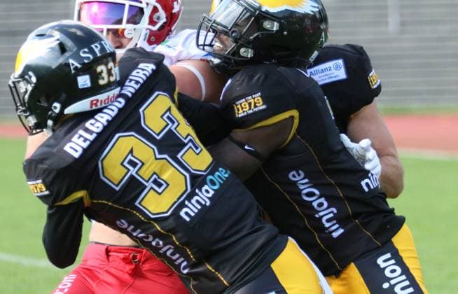 American Football GFL Berlin Adler Potsdam Royals 10 08 2024 Copyright: xmix1pressx