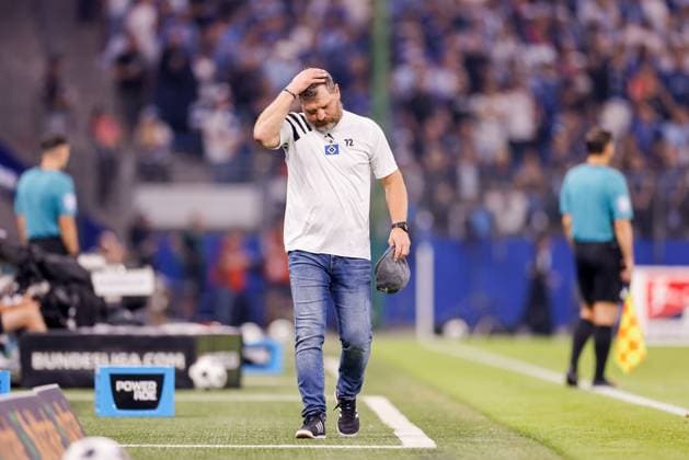 Hamburg, August 10, 2024 Football, 2 Bundesliga 2024 25, Hamburger SV Hertha BSC Steffen Baumgart Hamburger SV, Trainer DFL REGULATIONS PROHIBIT ANY USE OF PHOTOGRAPHS AS IMAGE SEQUENCES AND OR QUASI VIDEO