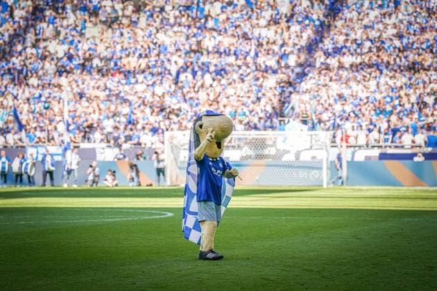 Soccer 2 Bundesliga season 2024 2025, matchday 4 FC Schalke 04 vs 1 FC Köln Veltins Arena, Gelsenkirchen Schalke mascot Erwin on the pitch Copyright: xJOERANxSTEINSIEKx
