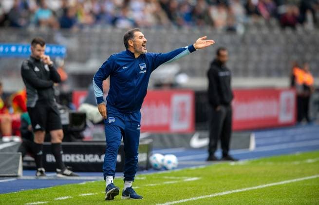 Soccer, Men, Season 2024 2025, 2 Bundesliga 5 Matchday , Hertha BSC Fortuna Düsseldorf, Coach Cristian Fiel Hertha BSC , 15 09 2024, Copyright: xSebastianxRäppold MatthiasxKochx