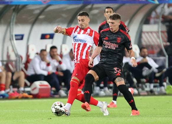CRVENA ZVEZDA vs BENFICA RADE KRUNIC Red Star football player at the UEFA Champions League match against Benfica at the Rajko Mitic stadium, Belgrade 19.09.2024. MN Press mr Football, Red Star, UEFA Champions League, Benfica Belgrade Rajko Mitic stadium Serbia Copyright: xMNxPressx