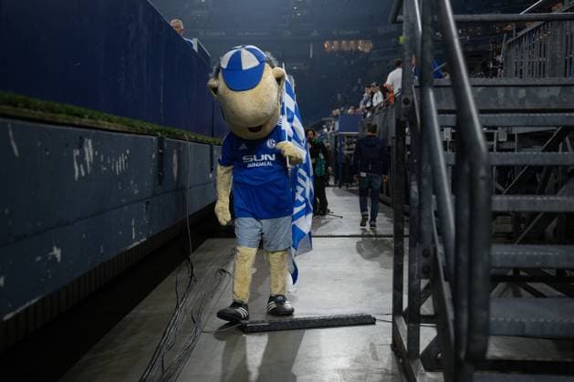 20 09 2024, Football, 2 Bundesliga, Matchday 29 Season 2024 2025, FC Schalke 04 SV Darmstadt, Schalkes mascot Erwin hangs his head Gelsenkirchen Veltins Arena North Rhine-Westphalia Germany xRHR PHOTO TKx Copyright: RHR-FOTOx RHR-FOTO TK