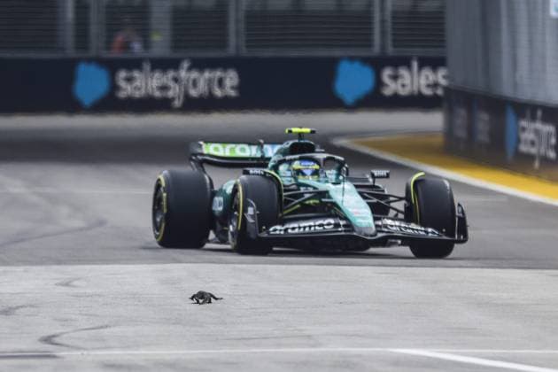 Lizard on track, 14 ALONSO Fernando (spa), Aston Martin F1 Team AMR24, action during the Formula 1 Singapore Grand Prix 2024, 18th round of the 2024 Formula One World Championship, WM, Weltmeisterschaft from September 20 to 22, 2024 on the Marina Bay Circuit, in Singapore, Singapore - F1 - SINGAPORE GRAND PRIX 2024 DPPI Panoramic  240921_R18_SINGAPORE_DP_FGDN7747