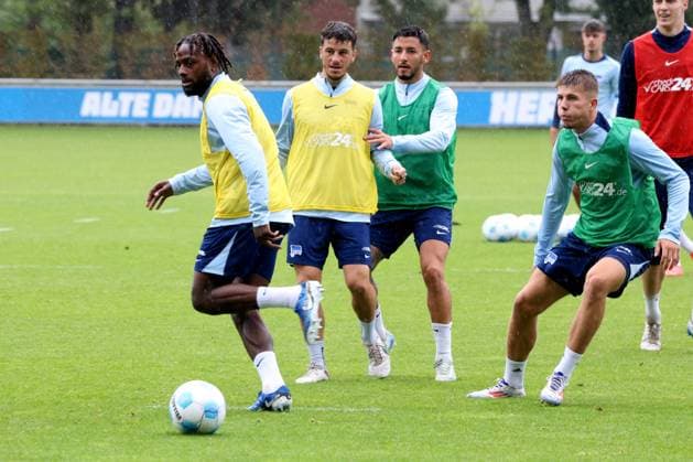 DEU, DFL, 2 FBL Hertha BSC, Training, 24 09 2024, Sportforum, Berlin, DEU, DFL, 2 FBL Hertha BSC, Training, in the picture Deyovaisio Zeefuik Hertha BSC Berlin 42 , Diego Demme Hertha BSC Berlin 6 , Kevin Sessa Hertha BSC Berlin 8 , Gustav Christensen Hertha BSC Berlin 26 DFL regulations prohibit any use of Photographs as image sequences and or quasi video Foto Juergen Engler nordphoto GmbH nordphotoxGmbHx xEngler nph00076