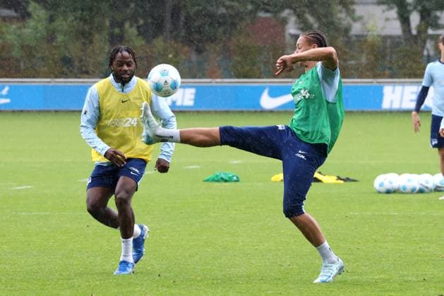 DEU, DFL, 2 FBL Hertha BSC, Training, 24 09 2024, Sportforum, Berlin, DEU, DFL, 2 FBL Hertha BSC, Training, in the picture Derry Scherhant Hertha BSC Berlin 39 , Deyovaisio Zeefuik Hertha BSC Berlin 42 , DFL regulations prohibit any use of Photographs as image sequences and or quasi video Foto Juergen Engler nordphoto GmbH nordphotoxGmbHx xEngler nph00076