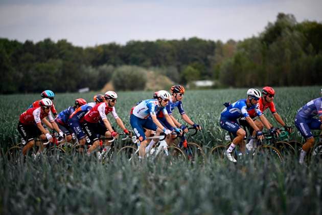 OMLOOP VAN HET HOUTLAND 2024 LICHTERVELDE, BELGIUM - SEPTEMBER 25 : illustration picture peloton pictured during the Omloop van het Houtland 2024 Cycling race with start in Eernegem and finish in Lichtervelde (195,3km). On September 25, 2024 in Lichtervelde, Belgium, 25 09 2024 Lichtervelde Belgium  Copyright: xGvgx