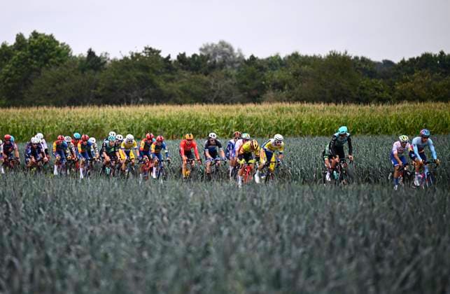 September 25, 2024, Lichtervelde, Belgium: LICHTERVELDE, BELGIUM - SEPTEMBER 25 : illustration picture peloton pictured during the Omloop van het Houtland 2024 Cycling race with start in Eernegem and finish in Lichtervelde (195,3km). On September 25, 2024 in Lichtervelde, Belgium, 25 09 2024 OMLOOP VAN HET HOUTLAND 2024  - ZUMAp34_ 20240925_zaf_p34_118 Copyright: xPanoramicx