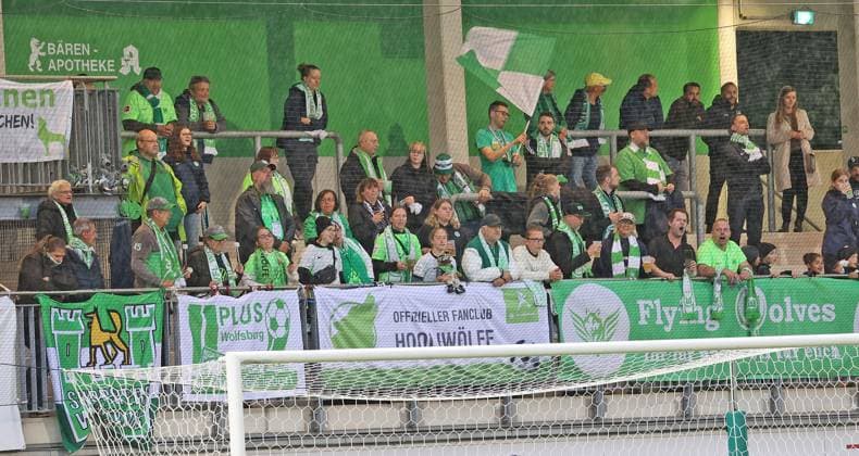 Women UWCL VfL Wolfsburg vs AC Florence Wolfsburg, 25 09 2024, soccer, women, season 24 25, Women s Champions League, qualification, 2 round, second leg, VfL Wolfsburg vs ACF Fiorentina, picture shows spectators in the AOK stadium fans of VfL Wolfsburg