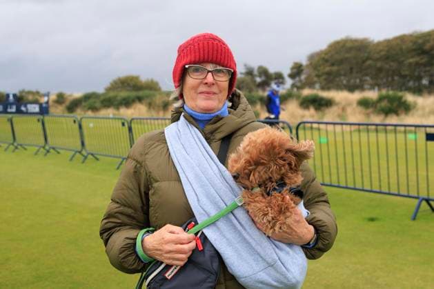 1st October 2024; Kingsbarns Golf Links, Fife, Scotland; Alfred Dunhill Links Golf Championship, Second Practice Day; A spectator and a windswept dog on a windy day on Kingsbarns Golf Links, during a practice round ahead of the Dunhill Links Championship  ActionPlus12698751 DavidxYoung