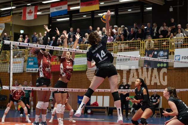 Aachen, Germany, October 02, 2024: Nicole van de Vosse (14 Ladies in Black Aachen) smashes the ball during the 1. Bundesliga Frauen game between Ladies in Black Aachen and SC Potsdam at the Hexenkessel in Aachen, Germany (Martin Pitsch SPP) Copyright: xMartinxPitschx xSPPx spp-en-MaPiSp-20241002_DSC8076-Enhanced-NR_NIKON Z 6_20241002-LIBvSCP