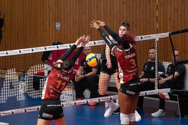 Aachen, Germany, October 02, 2024: Susan Schut (6 Ladies in Black Aachen) smashes the ball through the block attempt during the 1. Bundesliga Frauen game between Ladies in Black Aachen and SC Potsdam at the Hexenkessel in Aachen, Germany (Martin Pitsch SPP) Copyright: xMartinxPitschx xSPPx spp-en-MaPiSp-20241002_DSC8019-Enhanced-NR_NIKON Z 6_20241002-LIBvSCP
