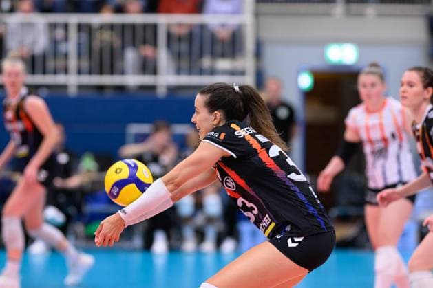 Maria Segura Palleres jersey no. 33, Allianz MTV Stuttgart 1 Volleyball Bundesliga USC Münster Allianz MTV Stuttgart, Münster on 02 10 2024 Copyright: xBEAUTIFULxSPORTS PeterxWeberx