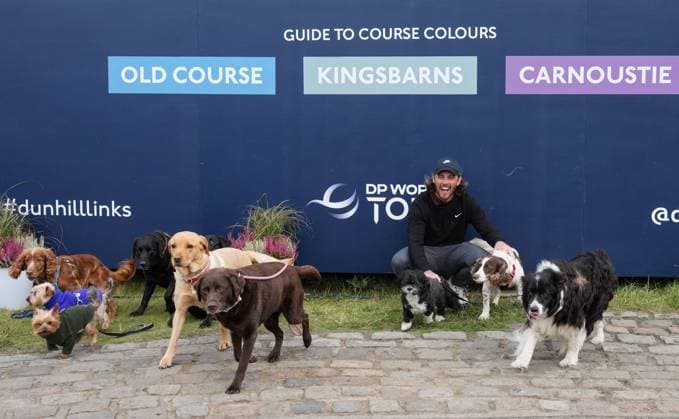 Tommy Fleetwood meets some dogs under the scoreboard after finishing his round at Kingsbarns. Alfred Dunhill Links Championship 2024, Day Two, Golf, Kingsbarns, Scotland, UK - 04 Oct 2024  Copyright: xStuartxWallace Shutterstockx 14751991cl