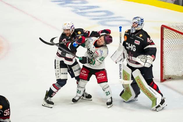 Sport Themen der Woche KW40 Sport Bilder des Tages Zweikampf vor den Tor von Simon Sezemsky (Towerstars Ravensburg, 93) gegen Ville Jaervelaeinen (Starbulls Rosenheim, 21), GER, Ravensburg Towerstars vs. Starbulls Rosenheim, Eishockey, DEL2, Spielzeit 2024 2025, Spieltag 8, 04.10.24 GER, Ravensburg Towerstars vs. Starbulls Rosenheim, Eishockey, DEL2, Spielzeit 2024 2025, Spieltag 8, 04.10.24 Ravenburg *** duel in front of the goal of Simon Sezemsky Towerstars Ravensburg, 93 against Ville Jaervelaeinen Starbulls Rosenheim, 21 , GER, Ravensburg Towerstars vs Starbulls Rosenheim, Ice Hockey, DEL2, Season 2024 2025, Matchday 8, 04 10 24 GER, Ravensburg Towerstars vs Starbulls Rosenheim, Ice Hockey, DEL2, Season 2024 2025, Matchday 8, 04 10 24 Ravenburg Copyright: xEibner-Pressefoto MaximilianxRistx EP_MRT