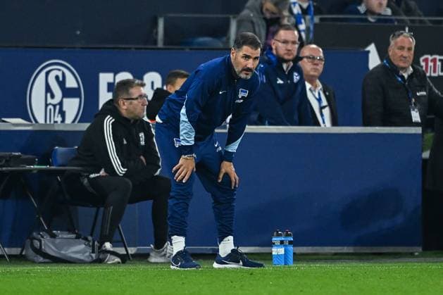 05 10 2024, Football, 2 Bundesliga, Matchday 8 Season 2024 2025, FC Schalke 04 Hertha BSC, Coach Cristian Fiel Hertha BSC xRHR PHOTO TKx Copyright: RHR-FOTOx RHR-FOTO TK