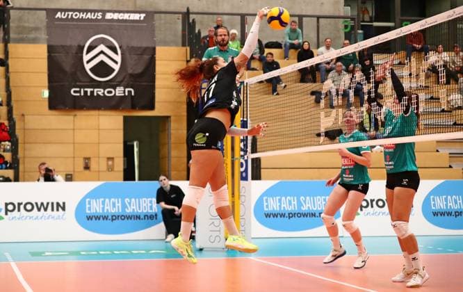 Volleyball, Women, 2nd BL South, ProWin Volleys TV Holz - Neuseeland Volleys Markkleeberg