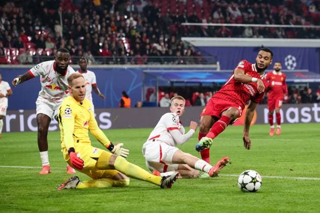 Goalkeeper Peter Gulacsi RB Leipzig,1 and Arthur Vermeeren RB Leipzig,18 vs Cody Galpko Liverpool FC,18 Champions League league phase season 2024 2025 RB Leipzig vs Liverpool FC at the Red Bull Arena in Leipzig Action,Football,Germany,Man,Men,23 10 2024
