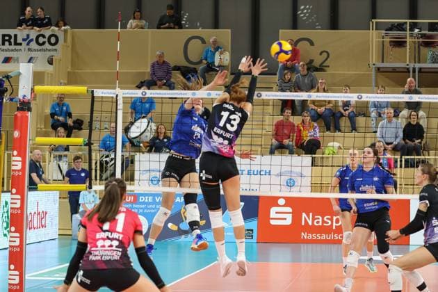 26 10 2024, xusrbx, Volleyball 1 Bundesliga Damen, VC Wiesbaden Schwarz Weiß Erfurt emspor, v l Rachel Gomez VC Wiesbaden, 17 , Alyssa Darowski Schwarz Weiss Erfurt, 13 , DFL DFB REGULATIONS PROHIBIT ANY USE OF PHOTOGRAPHS as IMAGE SEQUENCES and or QUASI VIDEO Wiesbaden
