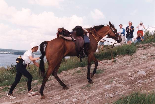 Archive pictures of the week SPORT KW44