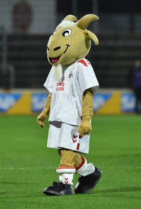 Soccer Google Pixel Women Bundesliga Season 2024 2025 8 Matchday 1 FC Köln Bayer 04 Leverkusen on 01 11 2024 at Franz Kremer Stadium in Cologne Hennes Mascot 1 FC Köln DFB regulations prohibit any use of photographs as image sequences and or quasi video Nordrhein Westfalen Germany
