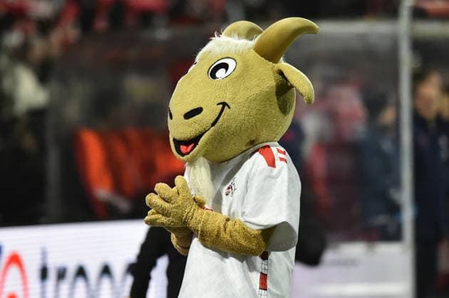 Soccer Google Pixel Women Bundesliga Season 2024 2025 8 Matchday 1 FC Köln Bayer 04 Leverkusen on 01 11 2024 at Franz Kremer Stadium in Cologne Hennes Mascot 1 FC Köln DFB regulations prohibit any use of photographs as image sequences and or quasi video Nordrhein Westfalen Germany