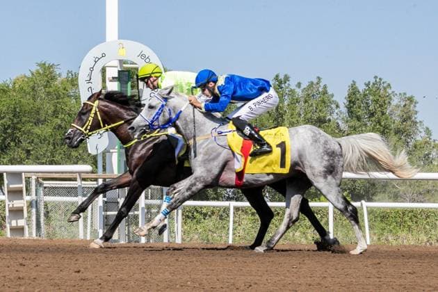 Sport Themen der Woche KW44 Sport Bilder des Tages Domestic Meeting, Flat racing dirt surface, 6 Thoroughbred races and 1 Purebred Arabian race. OCTAVE (US) ridden by Daniel Tudhope wins the 1000m Maiden race 1, at Jebel Ali, Dubai, UAE Horse Racing, Jebel Ali Race Club, Dubai, UAE - 02 Nov 2024  Copyright: xCedricxLane Shutterstockx 14842580h