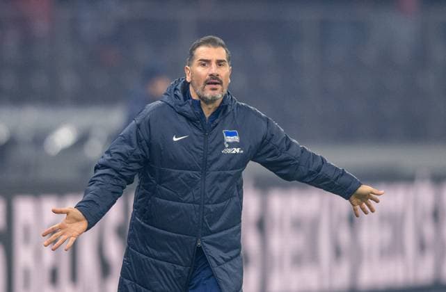 Soccer, Men, Season 2024 2025, 2 Bundesliga 11 Matchday , Hertha BSC 1 FC Köln, Coach Cristian Fiel Hertha BSC , 02 11 2024, Copyright: xSebastianxRäppold MatthiasxKochx