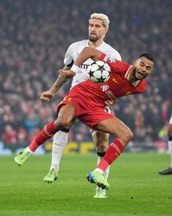 Liverpool v Bayer Leverkusen UEFA Champions League Cody Gakpo of Liverpool during the UEFA Champions League match at Anfield, Liverpool UK Newspapers OUT Copyright: xKarlxVallantinex FIL-20882-0053