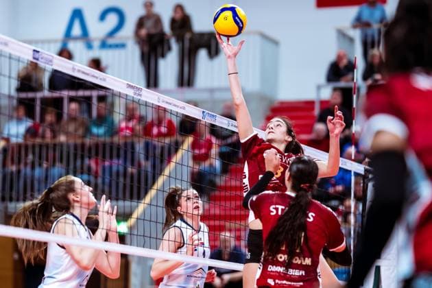 CEV Challenge Cup SC Potsdam ZOK UB 06 11 2024 CEV Challenge Cup SC Potsdam ZOK UB Copyright: xBEAUTIFULxSPORTS NicolxMarschallx