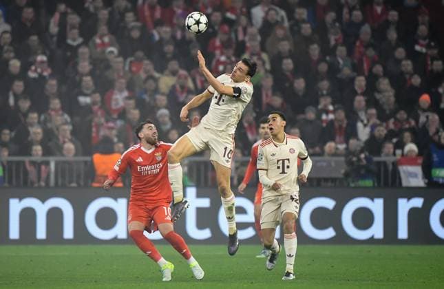 06 11 2024, xemx, Football UEFA Champions League, FC Bayern Muenchen Benfica Lisbon emspor, v l Orkun Koekcue Benfica Lisbon , Joao Palhinha FC Bayern Muenchen Zweikampf, Aktion, action, battle for the ball DFL DFB REGULATIONS PROHIBIT ANY USE OF PHOTOGRAPHS as IMAGE SEQUENCES and or QUASI VIDEO Muenchen