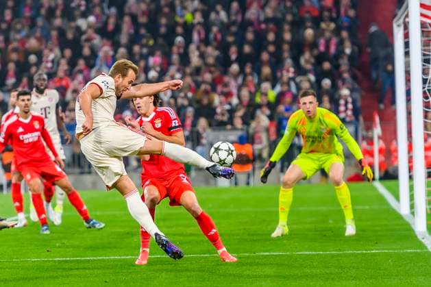 GER, UEFA CL, FC Bayern Muenchen GER vs Benfica Lisbon PRT 06 11 2024, Allianz Arena, Muenchen, GER, UEFA CL, FC Bayern Muenchen GER vs Benfica Lisbon PRT , UEFA regulations prohibit any use of photographs as image sequences and or quasi video, in the picture Harry Kane FCB 9 shooting with Anatolij Trubin Benfica 1 nordphotoxGmbHx xStraubmeier nph00004