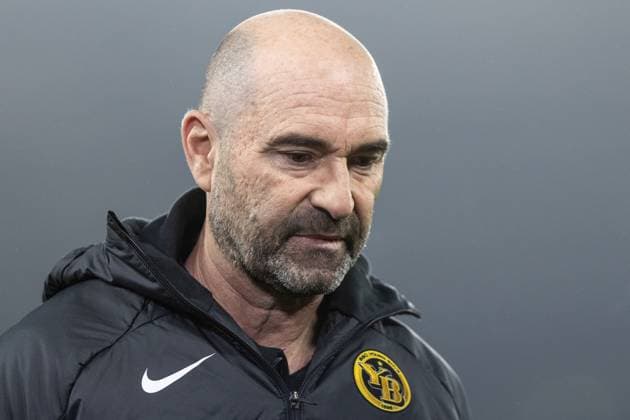 UEFA Champions League FC Shakhtar Donetsk BSC Young Boys 06 11 2024 Joel Magnin BSC Young Boys, Head Coach UEFA Champions League FC Shakhtar Donetsk BSC Young Boys Arena AufSchalke, Gelsenkirchen 06 11 2024 Copyright: xBEAUTIFULxSPORTS Buriakovx