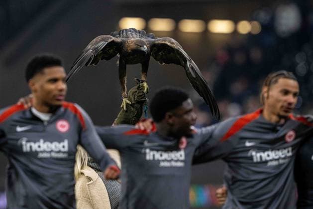 Mascot Attila celebrate after winning during the UEFA Europa League 2024 25 League Phase MD4 match between Eintracht Frankfurt v SK Slavia Praha at Deutsche Bank Park on November 7, 2024 in Frankfurt am Main, Germany not used in POL SRB CRO FRA GBR NED ITA USA Defodi 747 747 20241107 EFSlPr 000000158 Defodi-747 not used in POL SRB CRO FRA GBR NED ITA USA