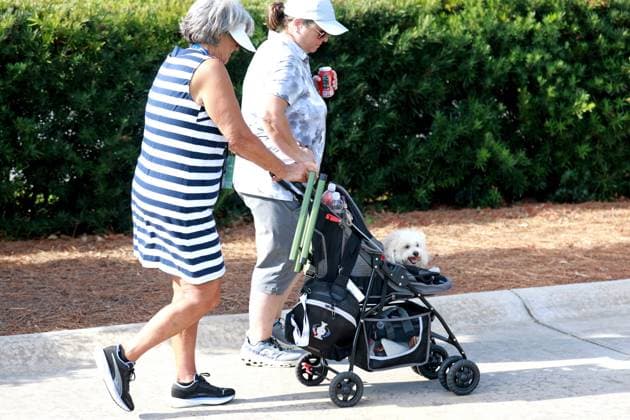 BELLEAIR, FL - NOVEMBER 14: Judy Thompson, the mother of PGA, Golf Herren player Lexi Thompson, pushes Lexi™s dog Leo in a stroller on the first hole on November 14, 2024, during the first round of the LPGA, Golf Damen The ANNIKA driven by Gainbridge at Pelican Golf Club in Belleair, Florida. (Photo by Brian Spurlock Icon Sportswire) GOLF: NOV 14 LPGA The ANNIKA driven by Gainbridge at Pelican EDITORIAL USE ONLY Icon241114155