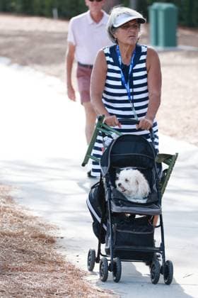 BELLEAIR, FL - NOVEMBER 14: Judy Thompson, the mother of PGA, Golf Herren player Lexi Thompson, pushes Lexi™s dog Leo in a stroller on the first hole on November 14, 2024, during the first round of the LPGA, Golf Damen The ANNIKA driven by Gainbridge at Pelican Golf Club in Belleair, Florida. (Photo by Brian Spurlock Icon Sportswire) GOLF: NOV 14 LPGA The ANNIKA driven by Gainbridge at Pelican EDITORIAL USE ONLY Icon241114156