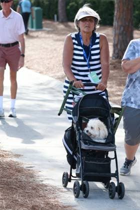 BELLEAIR, FL - NOVEMBER 14: Judy Thompson, the mother of PGA, Golf Herren player Lexi Thompson, pushes Lexi™s dog Leo in a stroller on the first hole on November 14, 2024, during the first round of the LPGA, Golf Damen The ANNIKA driven by Gainbridge at Pelican Golf Club in Belleair, Florida. (Photo by Brian Spurlock Icon Sportswire) GOLF: NOV 14 LPGA The ANNIKA driven by Gainbridge at Pelican EDITORIAL USE ONLY Icon241114157