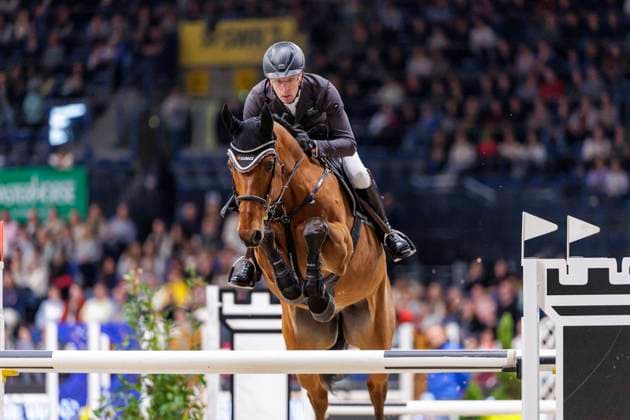 Sport Themen der Woche KW46 Sport Bilder des Tages STUTTGART - German Masters 2024, STUTTGART - German Masters 2024 RIESKAMP-GOEDEKING Tim (GER), Coldplay Speed Trophy Zeitspringprüfung Stuttgart, Hanns-Martin-Schleyer-Halle 16. November 2024 - *** STUTTGART German Masters 2024, STUTTGART German Masters 2024 RIESKAMP GOEDEKING Tim GER , Coldplay Speed Trophy Time Trial Stuttgart, Hanns Martin Schleyer Halle November 16, 2024