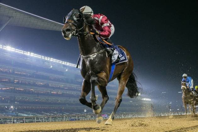 Bilder des Jahres 2024, Sport 11 November Sport Themen der Woche KW47 Sport Bilder des Tages Flat racing dirt surface, 6 Thoroughbred races and 1 Purebred Arabian race. DARK SAFFRON (USA) ridden by Connor Beasley wins the 1200M Como Residenses Maiden, race 2, at Meydan Dubai World Cup Carnival. Horse Racing, Meydan, Dubai, UAE - 22 Nov 2024  Copyright: xCedricxLane Shutterstockx 14928312q