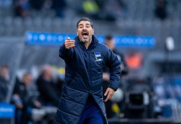 Soccer, Men, Season 2024 2025, 2 Bundesliga 13 Matchday , Hertha BSC SSV Ulm, Coach Cristian Fiel Hertha BSC , 23 11 2024, Copyright: xSebastianxRäppold MatthiasxKochx