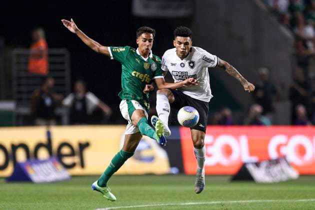 Igor Jesus of Botafogo and Vitor Reis of Palmeiras battle for the ball during a match between Palmeiras and Botafogo as part of Brasileirao 2024 at Allianz Parque on November 26, 2024 in Sao Paulo, Brazil. (Marco Galvao SPP) Copyright: xMarcoxGalvaox xSPPx spp-en-MaGaSp-MGA_26nov24_0093