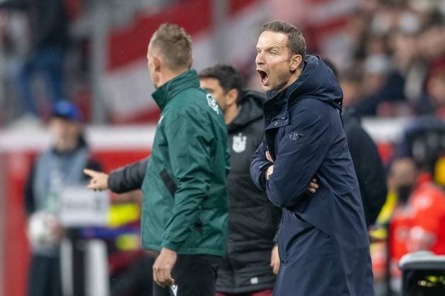 26 11 2024, Football UEFA Champions League, Season 2024 2025, Matchday 05, Bayer 04 Leverkusen FC Salzburg in the BayArena in Leverkusen Pepijn Lijnders Red Bull Salzburg, coach gives loud instructions Photo Kirchner Media TH Copyright: xKirchner-Media THx