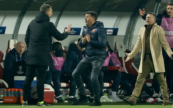 27.11.2024 Belgrade(Serbia) FK Crvena Zvezda-VfB Stuttgart Champions League men s football Vladan Milojevic(C) Crvena Zvezda(Red Star) coach,Goran Negic(R) coaching staff react during match :S.Sandic